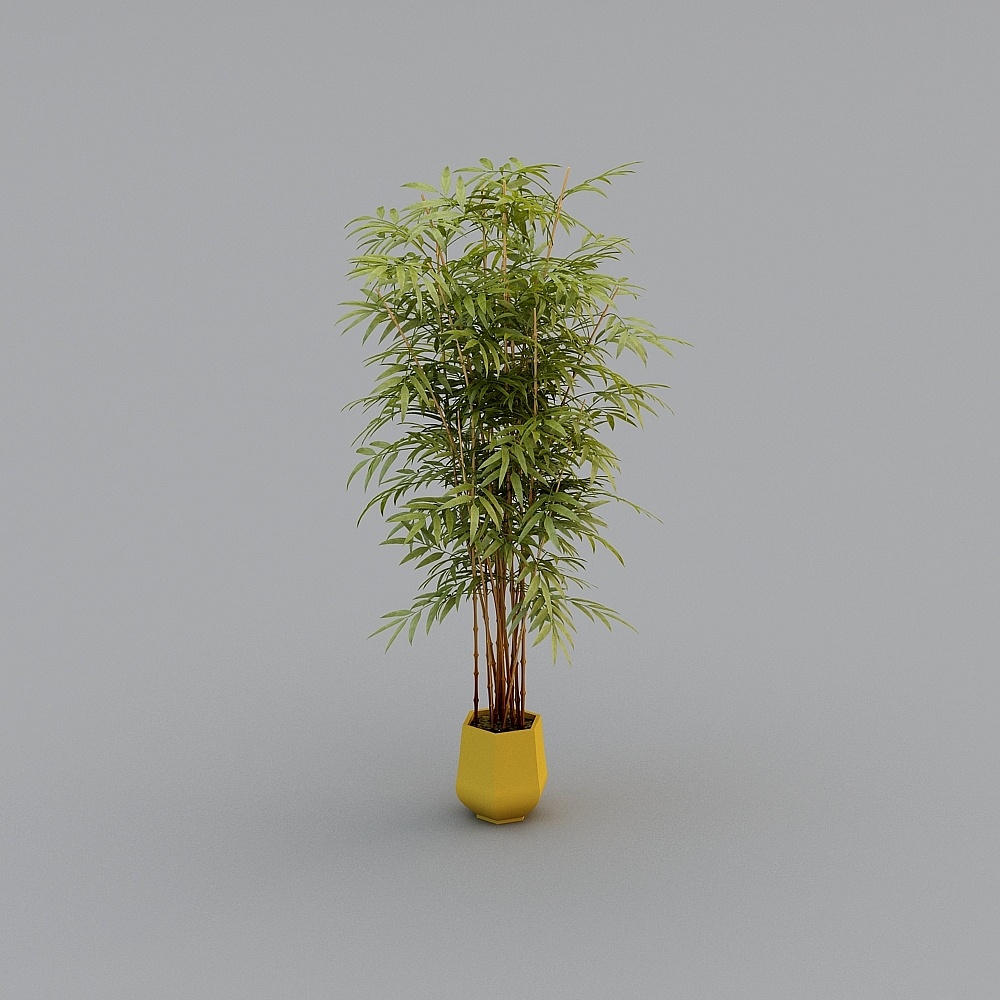 Moderno - Hall d'Hotel - Piante Verdi