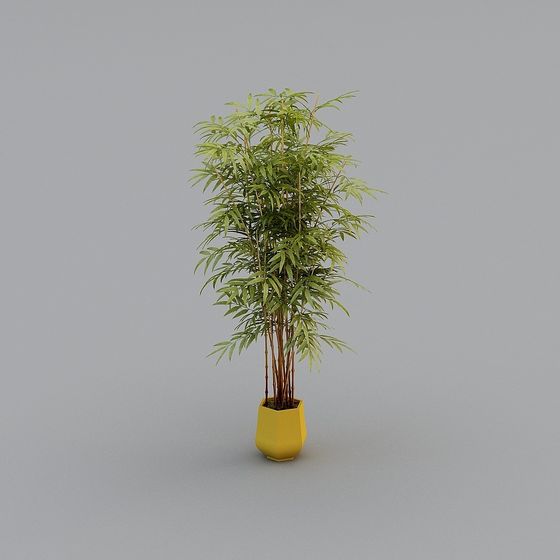 Moderno - Hall d'Hotel - Piante Verdi