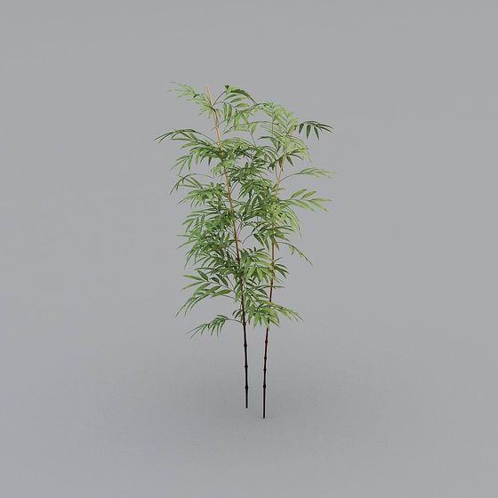 Serene Bamboo Grove 3D model