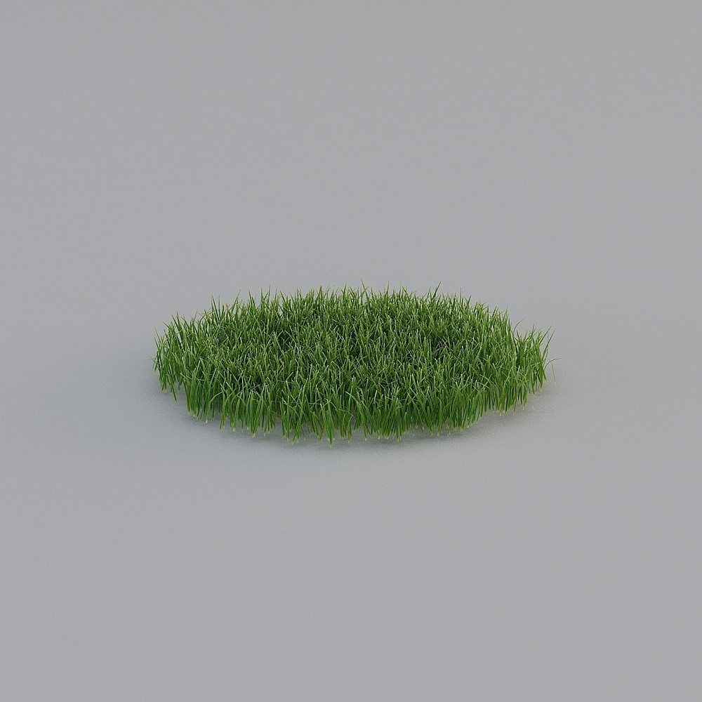 Grass