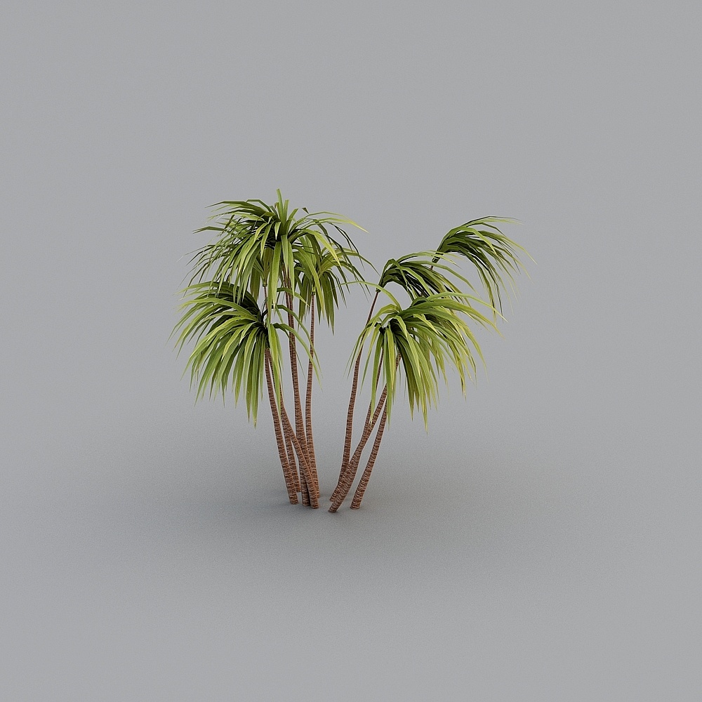 Tropical plant trees