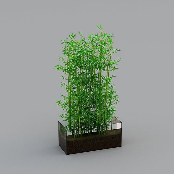 Realistic Bamboo Forest 3D model