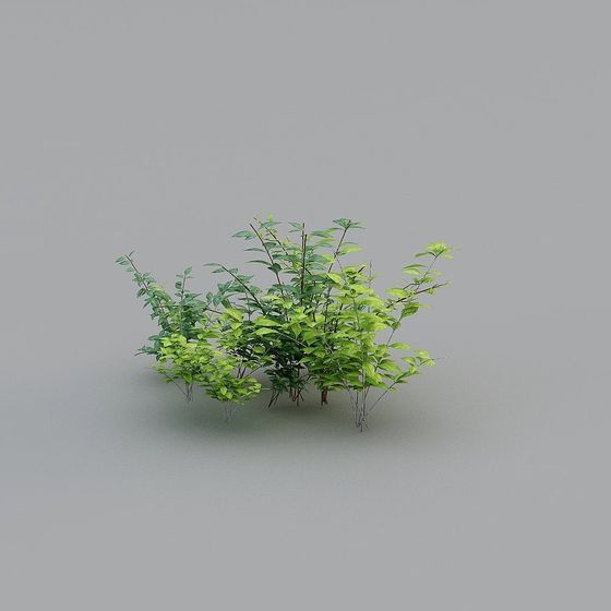 Low-Polygon Jungle Cluster 3D model