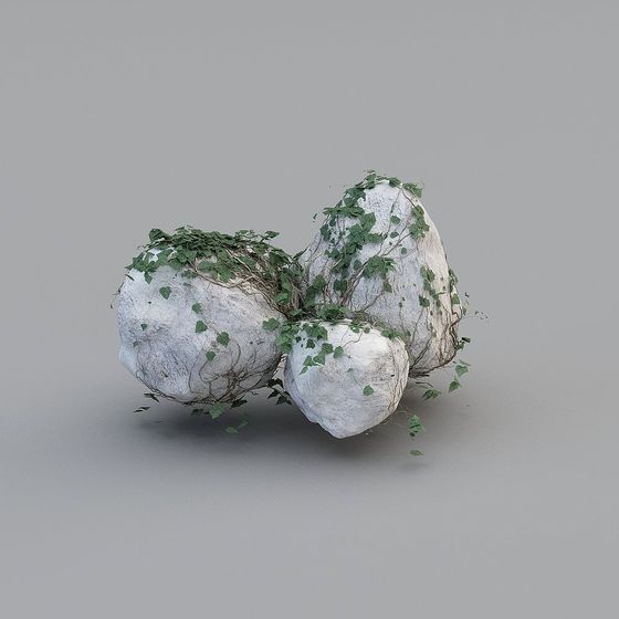 Vines and Rocks 3D model