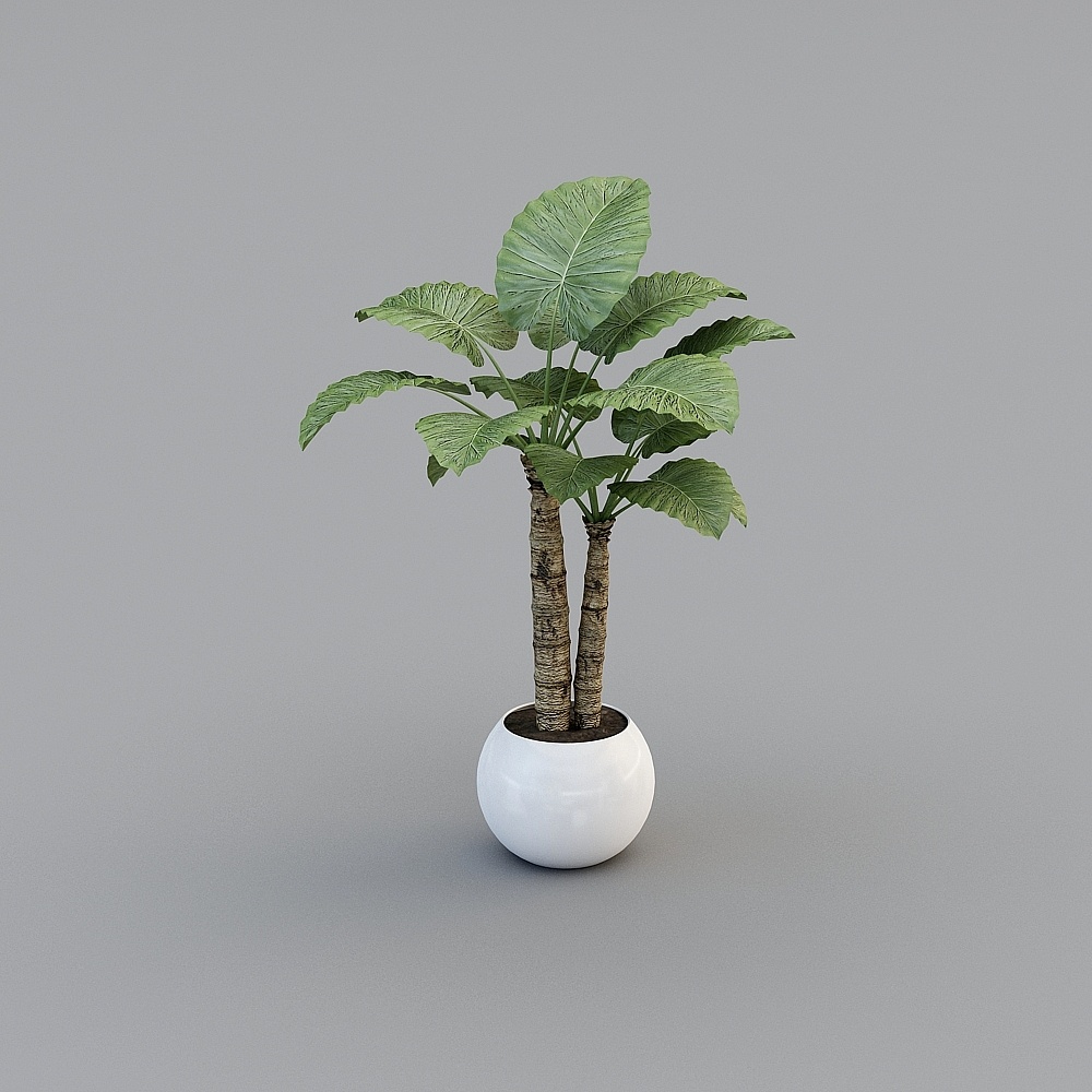 Nordic small Fresh Beauty Club-Green 02