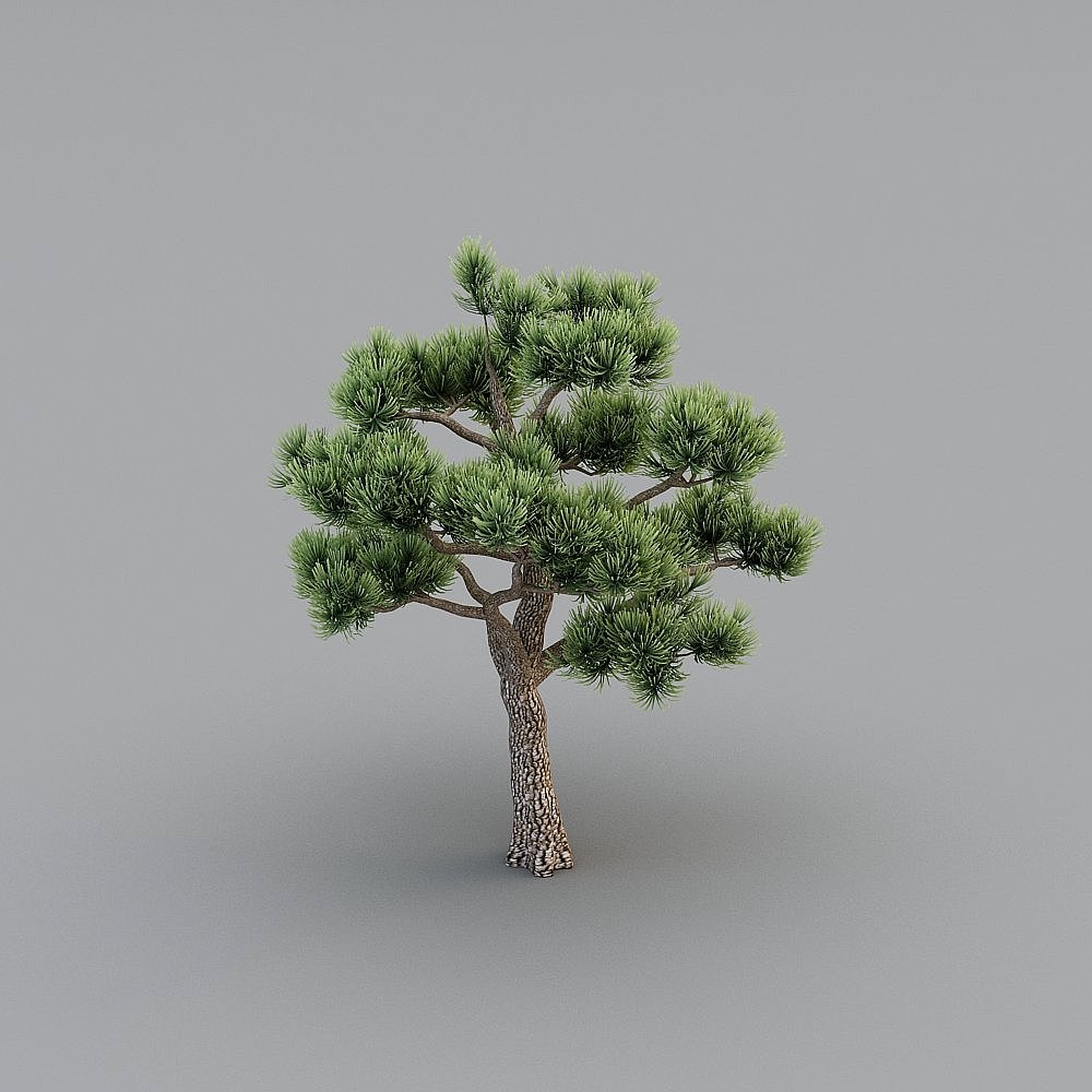Realistic Low-Poly Pine Tree 3D model