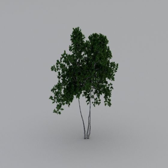 Vibrant Pine Tree 3D model for Nature Scenes