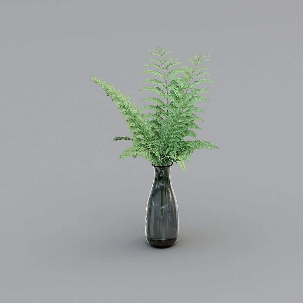 Pflanze & Vase
