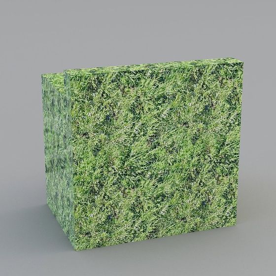 Lush Grassland Cube 3D model