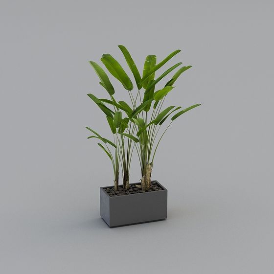 Tropical Plant Pot 3D Model for Creative Projects