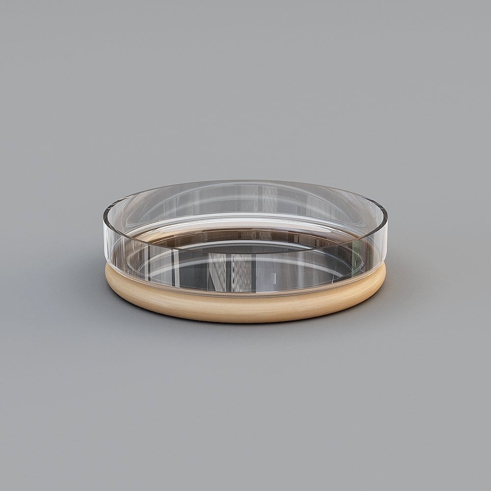 Elegant Glass Display Plate 3D model