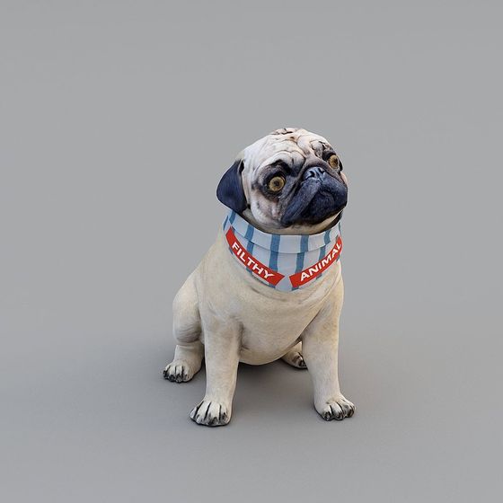 Charming Pug 3D model for Creative Applications