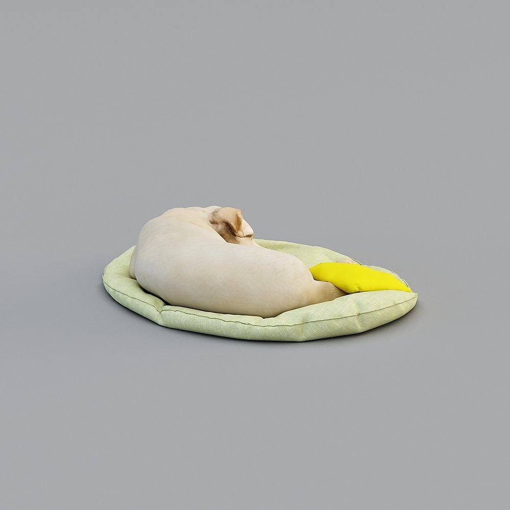 Cani Compagni Moderni