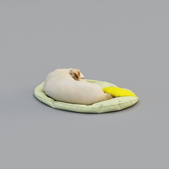 Cani Compagni Moderni