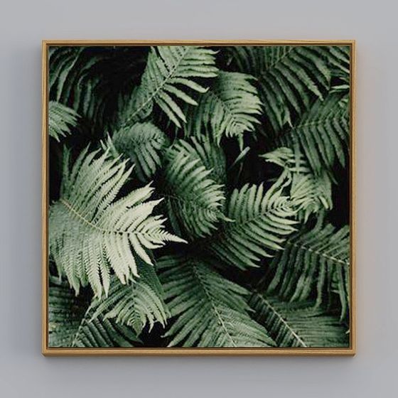 Lc188- dekoratives Konsortium