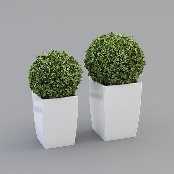 เครื่องประดับ 60