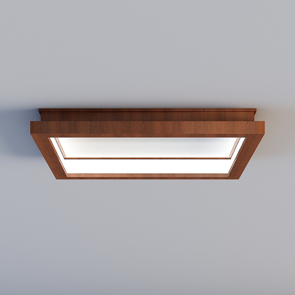 Ceiling light