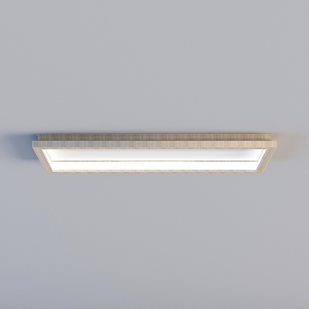 Ceiling light