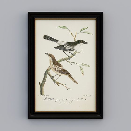Vintage Modern Bird Illustration 3D model