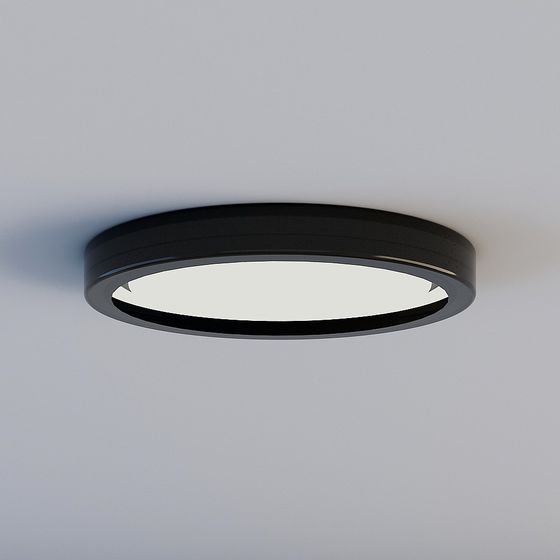 Minimalist Round Ceiling Light 3D model