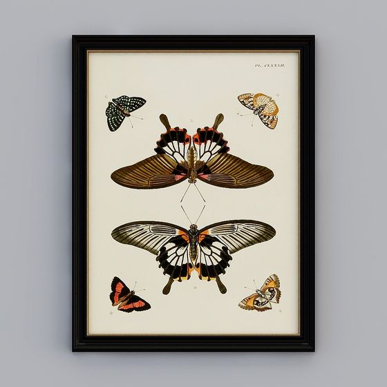 Vivid Butterfly Specimen 3D model for Creative Projects