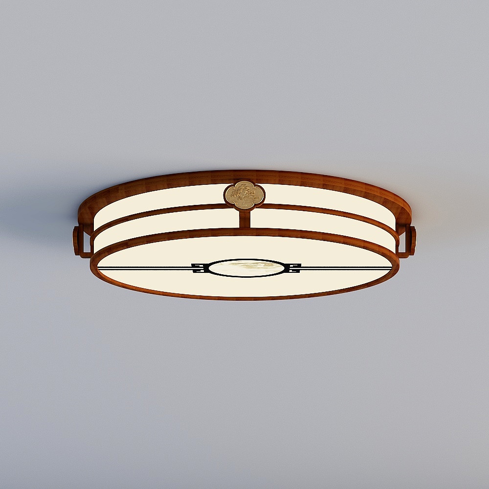 Ceiling light