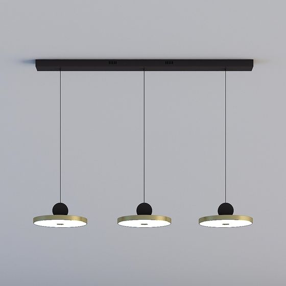 Modern Minimalist Hanging Light Fixture 3D model