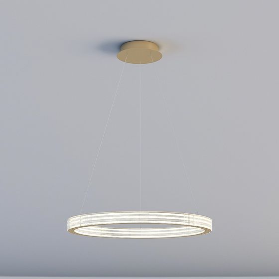 Circular Suspension Light 3D model