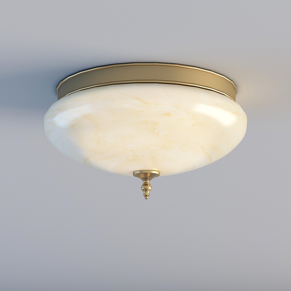 Ceiling light