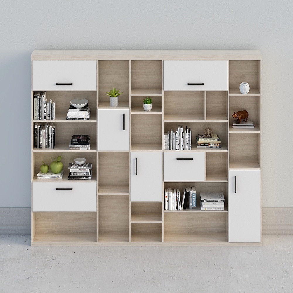 HNGCSG-10-Bookcase combination