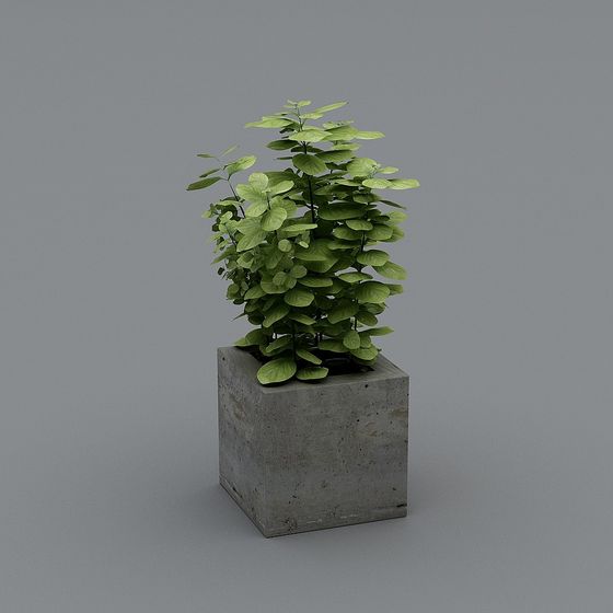 Concrete Planter Plant 3D model for Modern Interiors