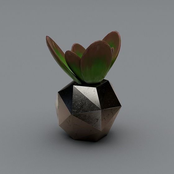 Geometric Vase with Succulent 3D model
