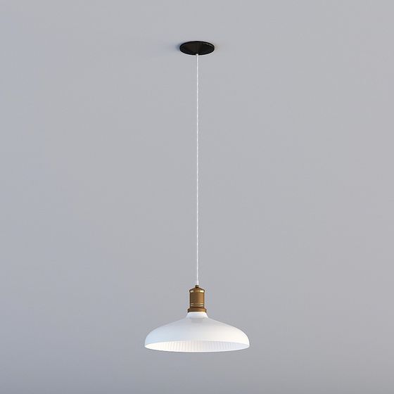Modern Minimalist Pendant Light 3D model