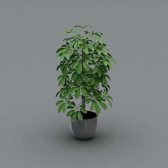 Vibrant Low-Poly 3D Plant Model