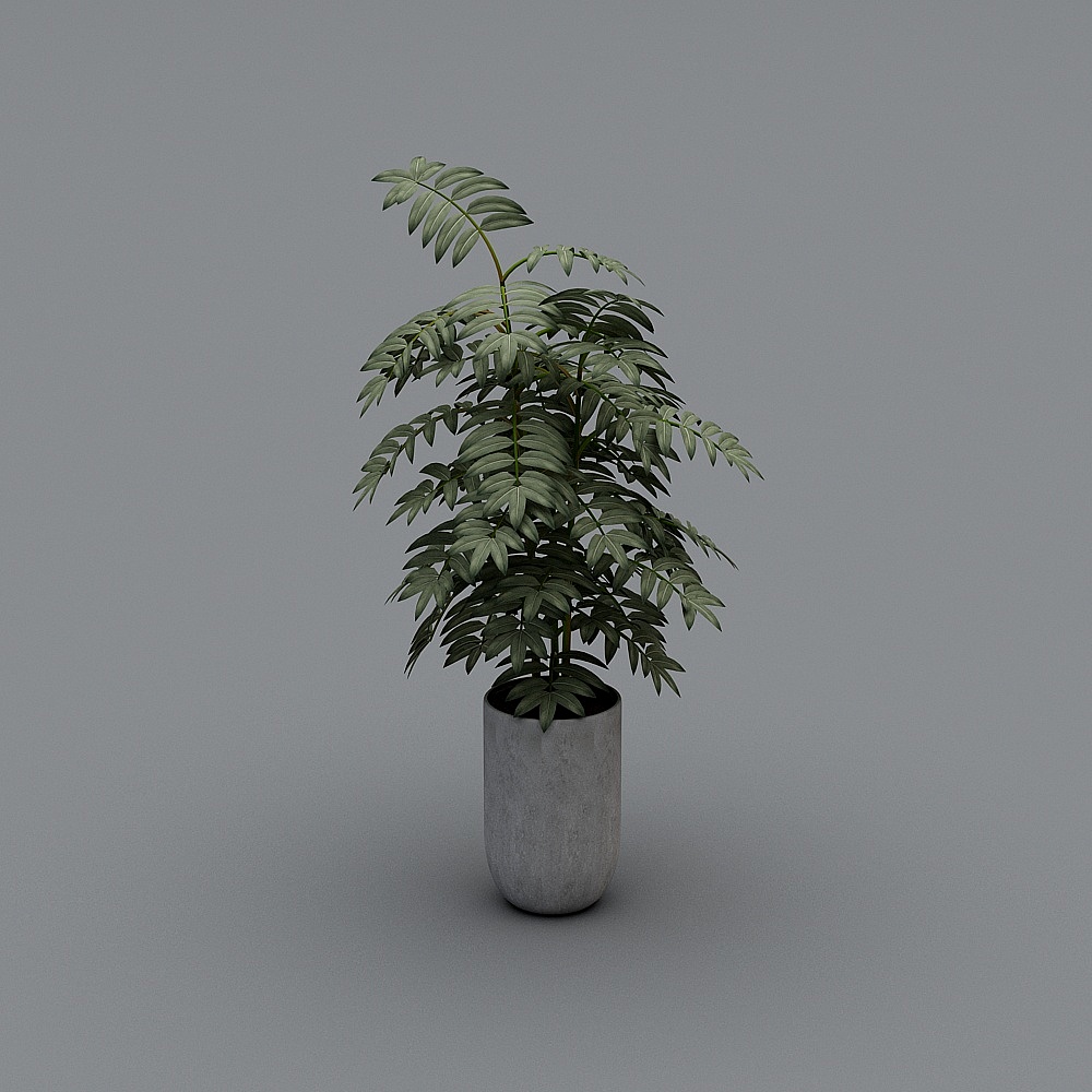 Tall green leafy house plant in grey round concrete pot on grey background