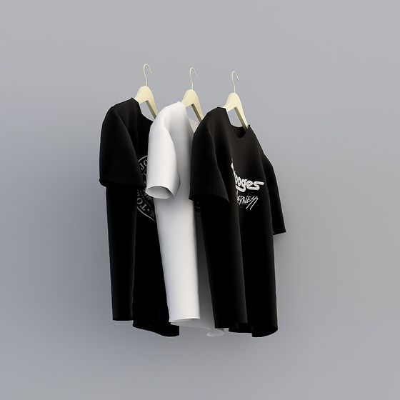 Detailed T-Shirt Display Rack 3D model
