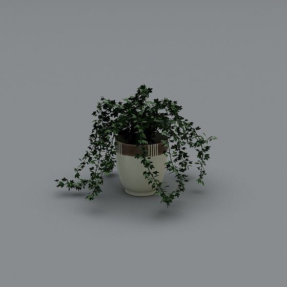 Green leafy hanging ivy plant in cream ceramic pot with brown stripe on grey background