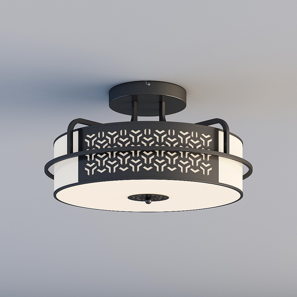 Ceiling light