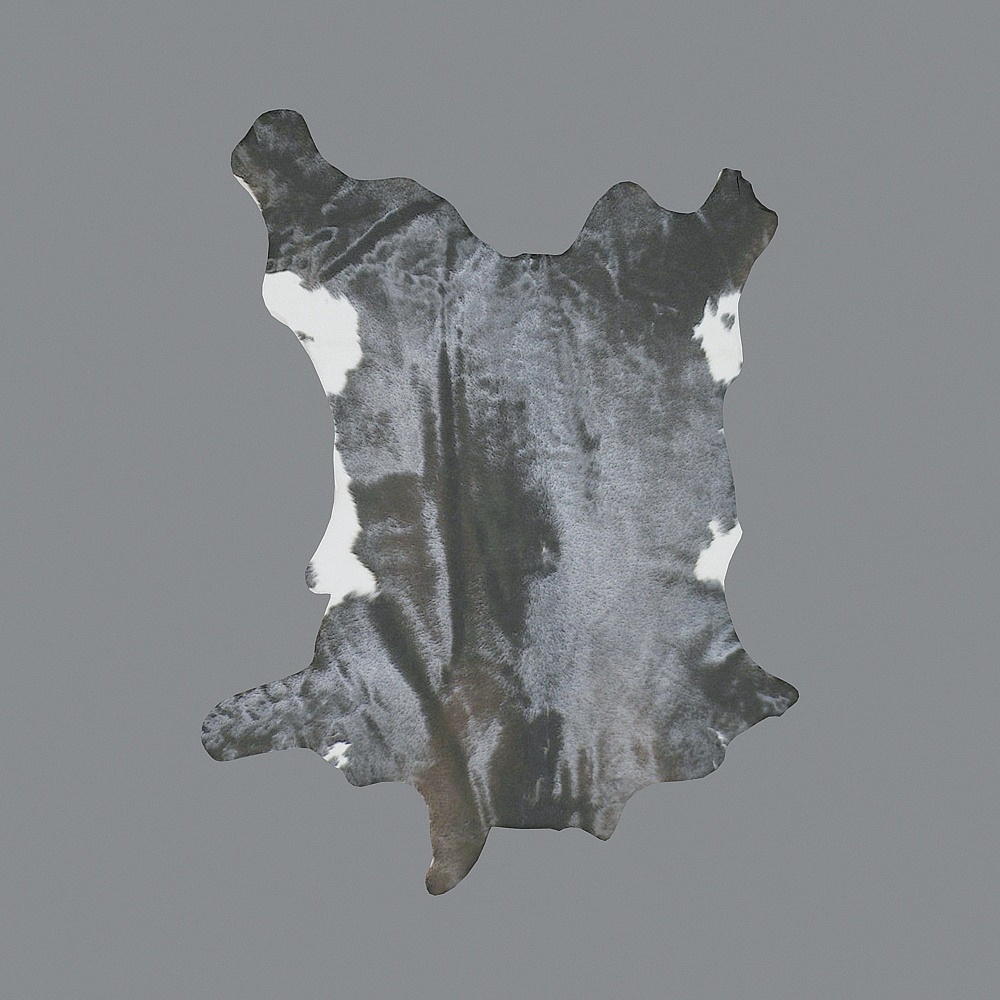 Distressed Leather Carpet 3D model