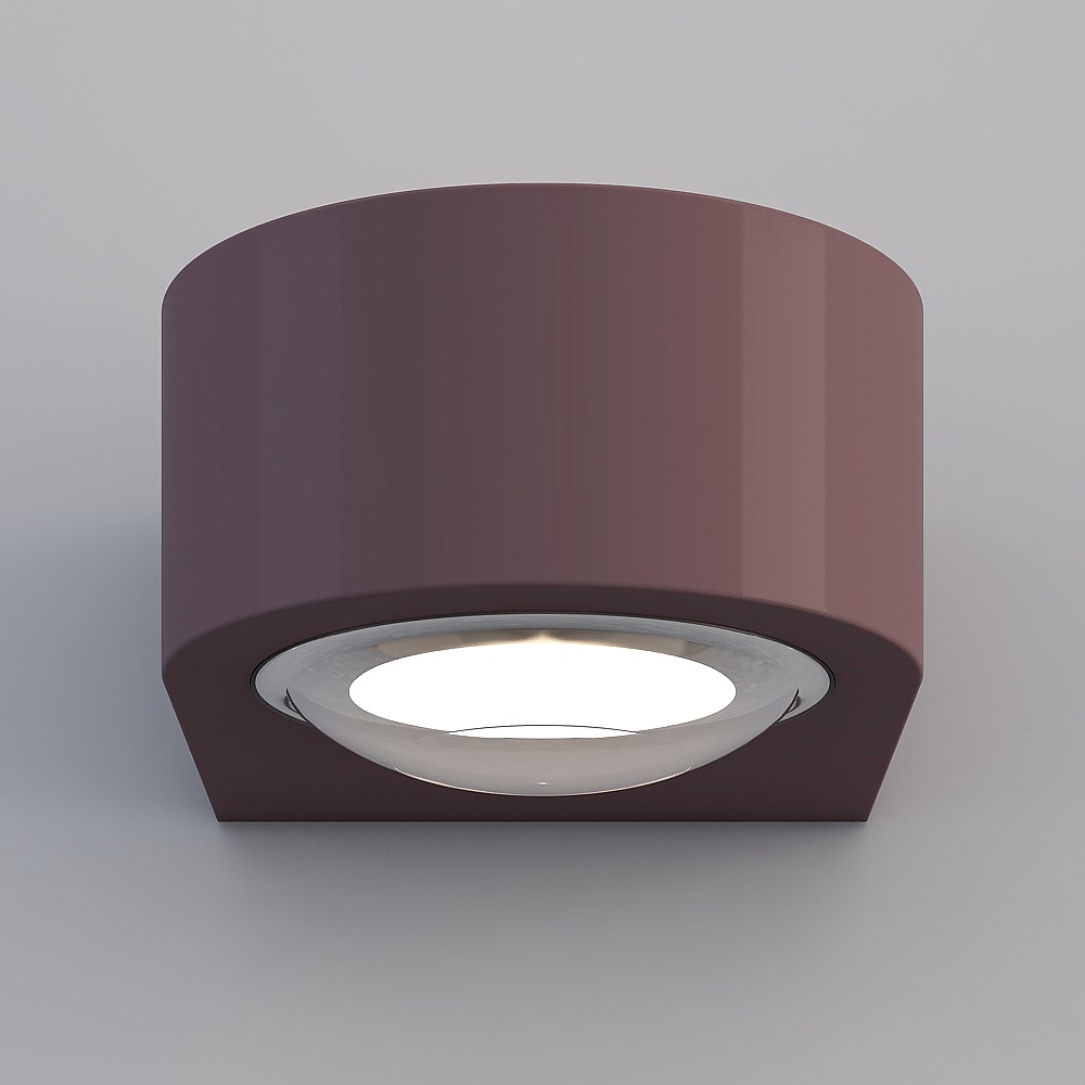 Modern dark purple round ceiling light with clear glass cover and bright white bulb on grey background