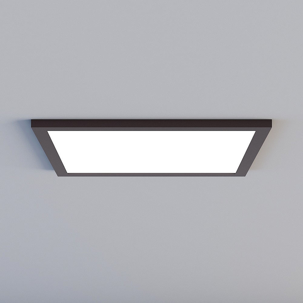 Ceiling light