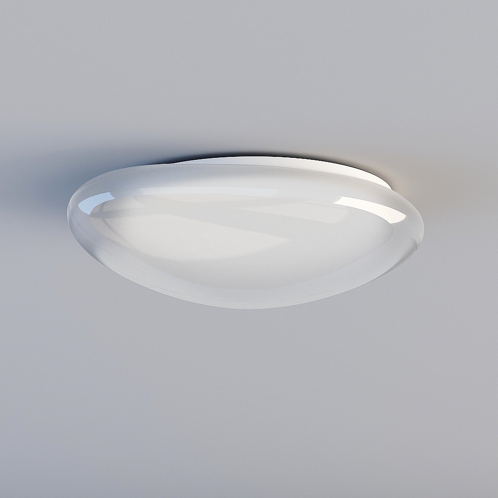 Ceiling light