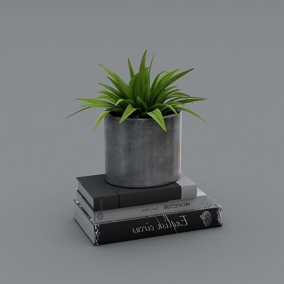 Green plant in grey round pot on stack of books on grey background