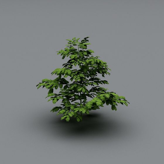 Forest Spirit 3D model in Low Poly Design