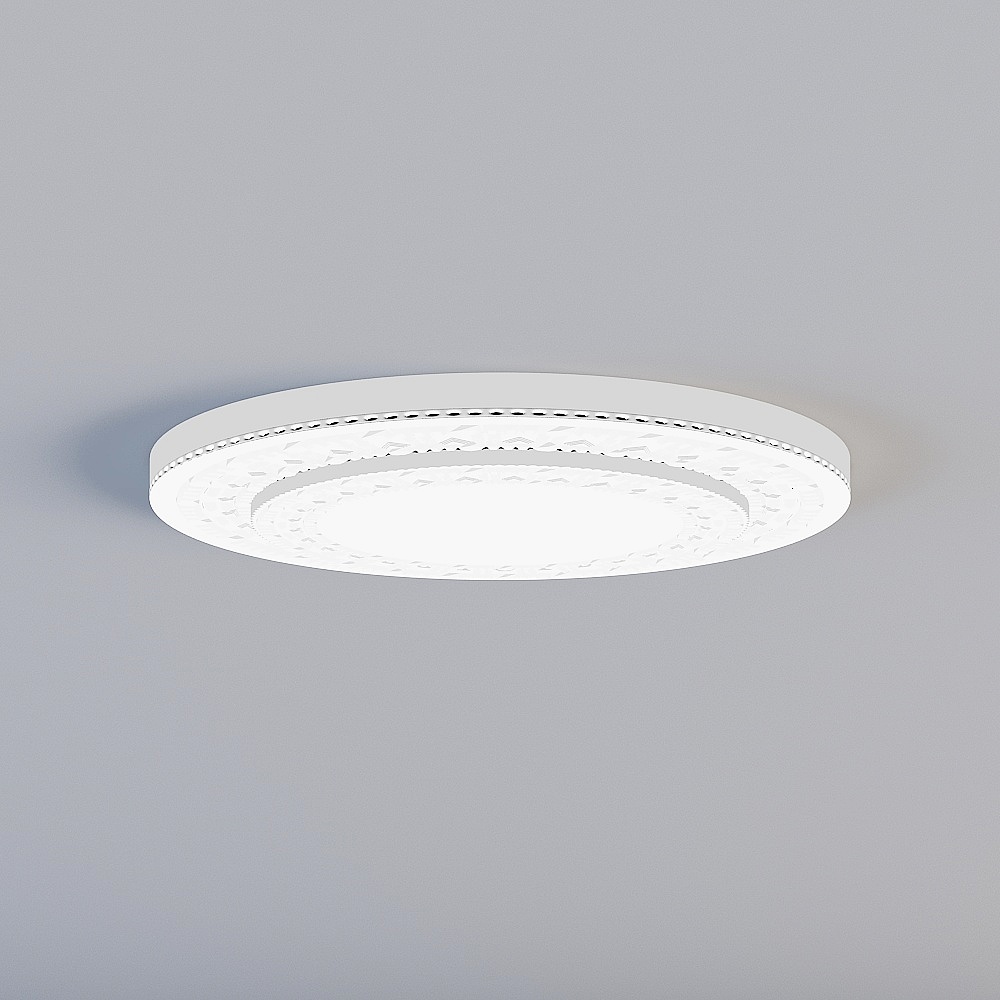Ceiling light