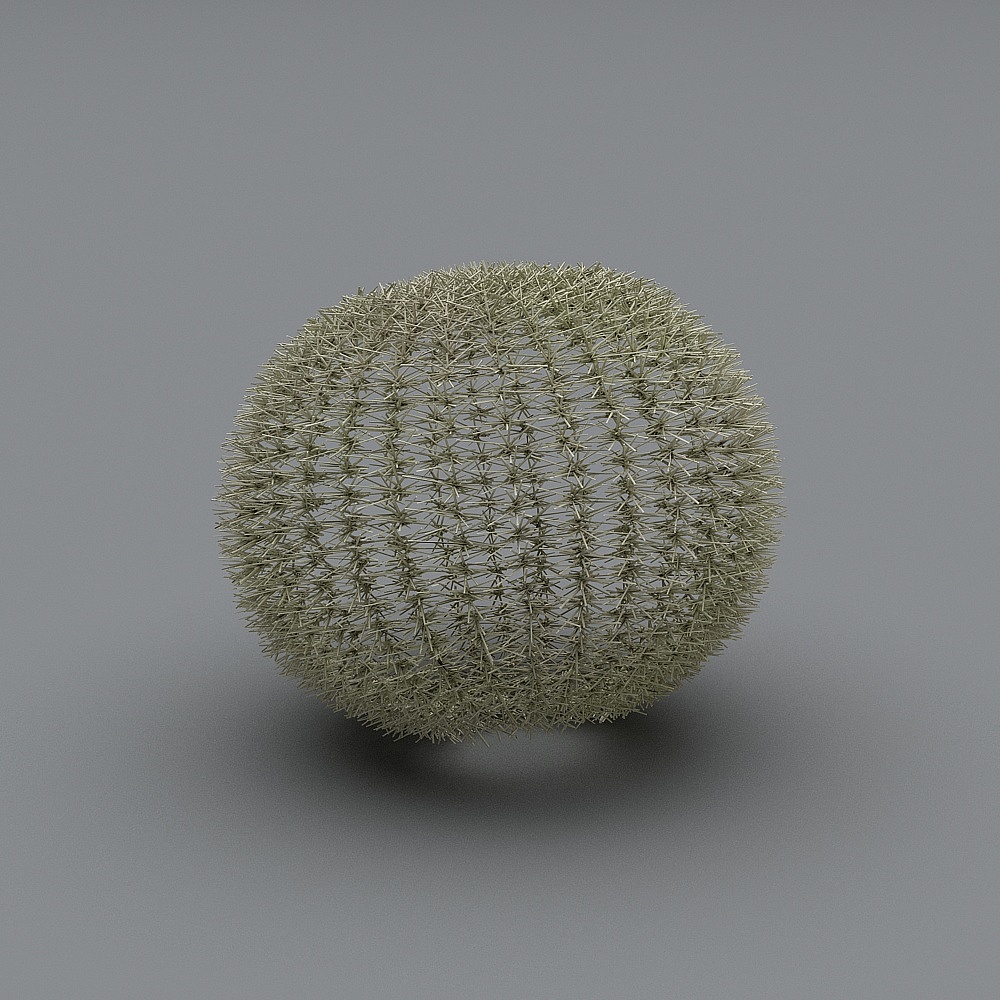 Realistic Low-Poly Cactus 3D Model