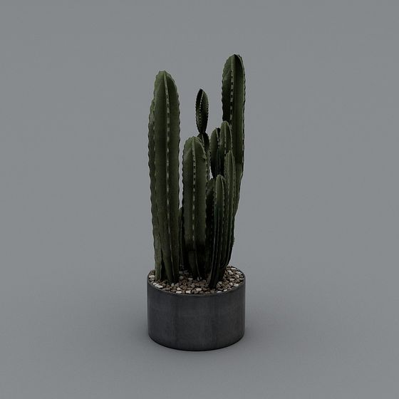 Vibrant Cactus 3D Model for Deserts