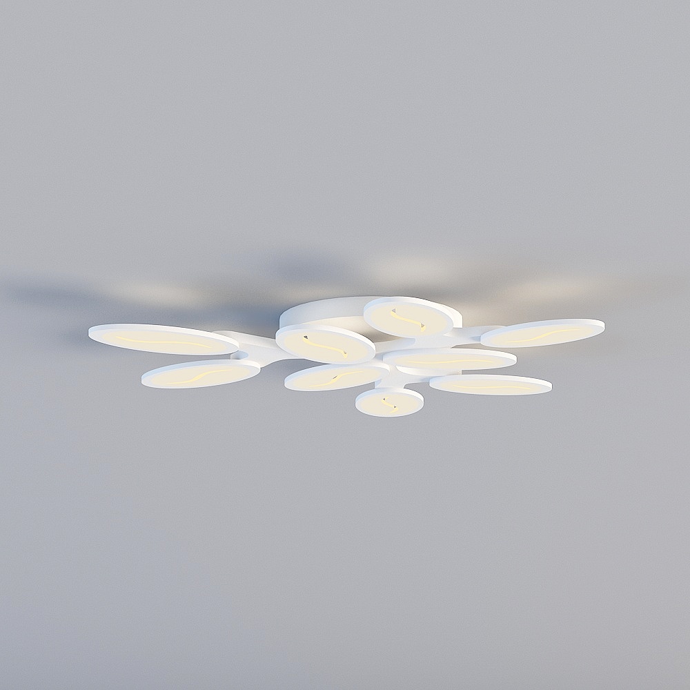 Ceiling light