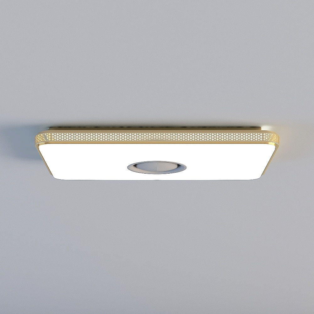 Lumière de plafond
