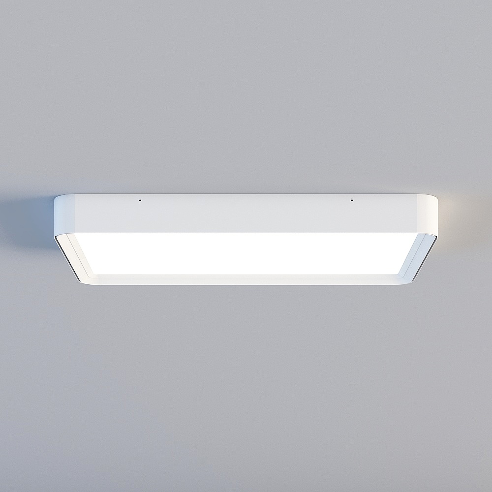 Ceiling light